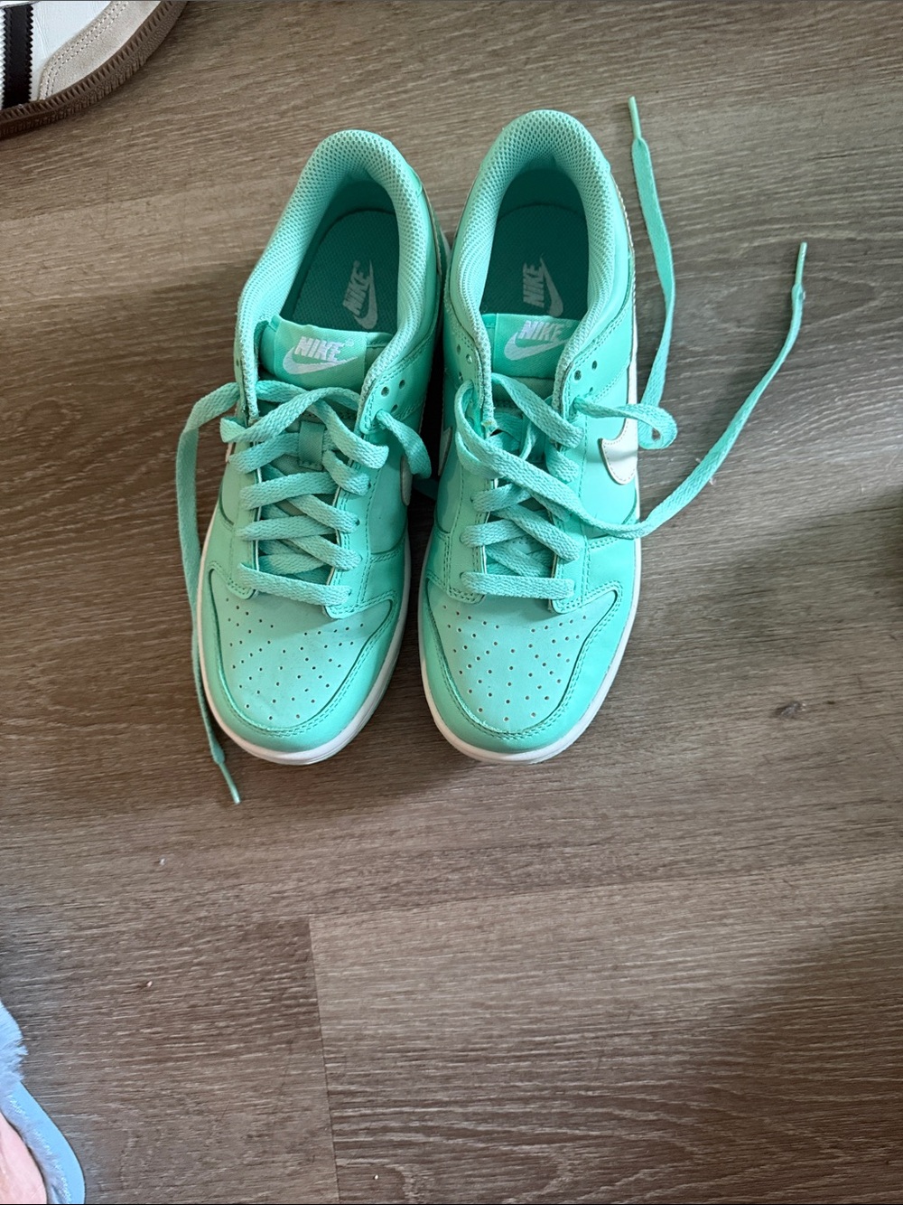 Nike Kids Mint Green Low-Top Sneakers with White Swoosh
